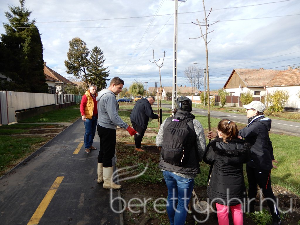 Közösségi faültetés Berettyóújfaluban 30